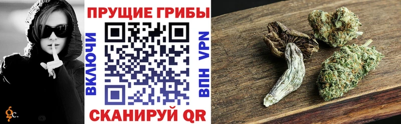 Галлюциногенные грибы прущие грибы  OMG как войти  Новоуральск 